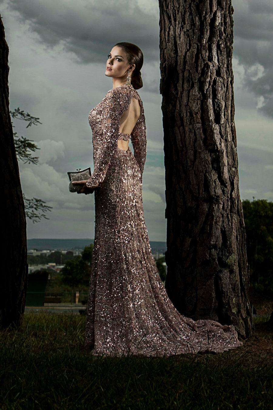 Robe Givre – Silver glitter